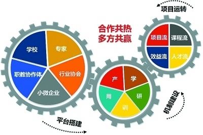 不是单位已经缴纳了吗